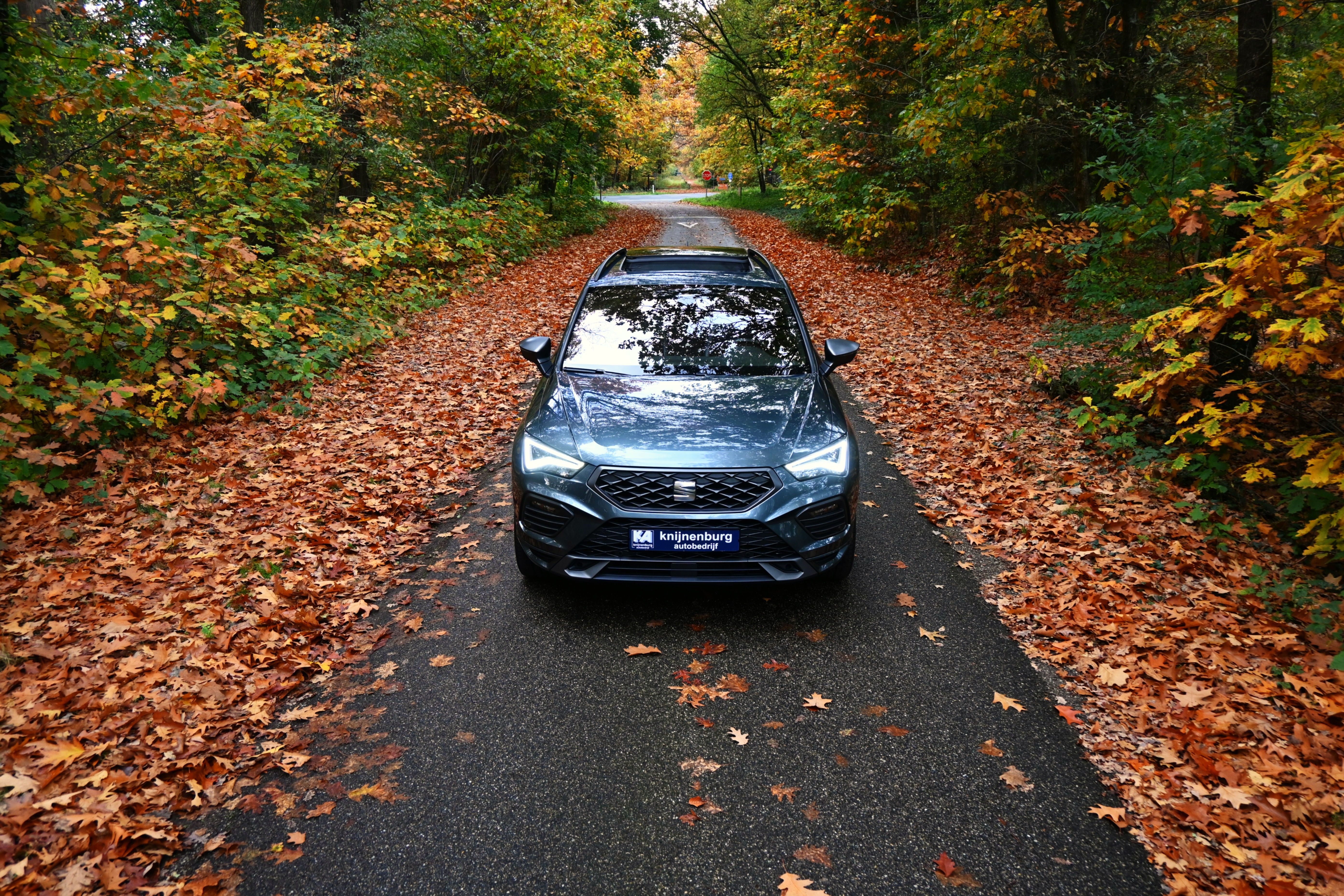 gallery_images_14_13_1762159100377334309