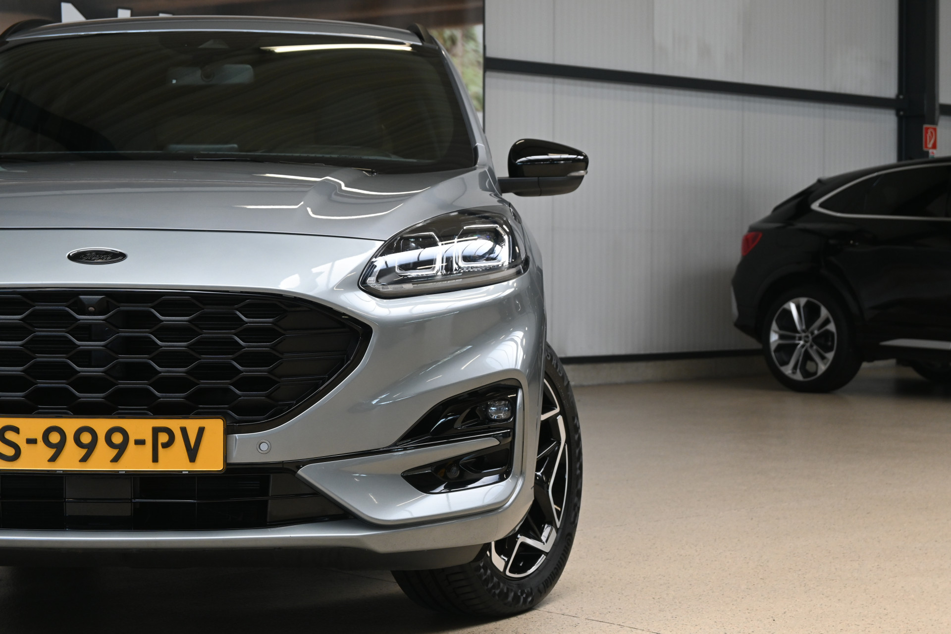 52612344-3.jpg