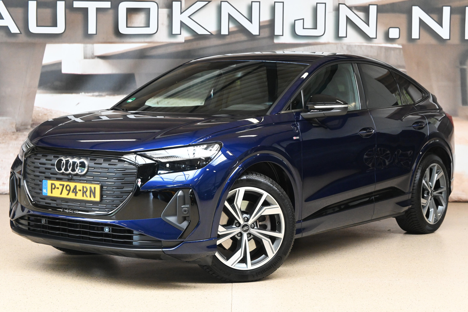 56883928-1.jpg