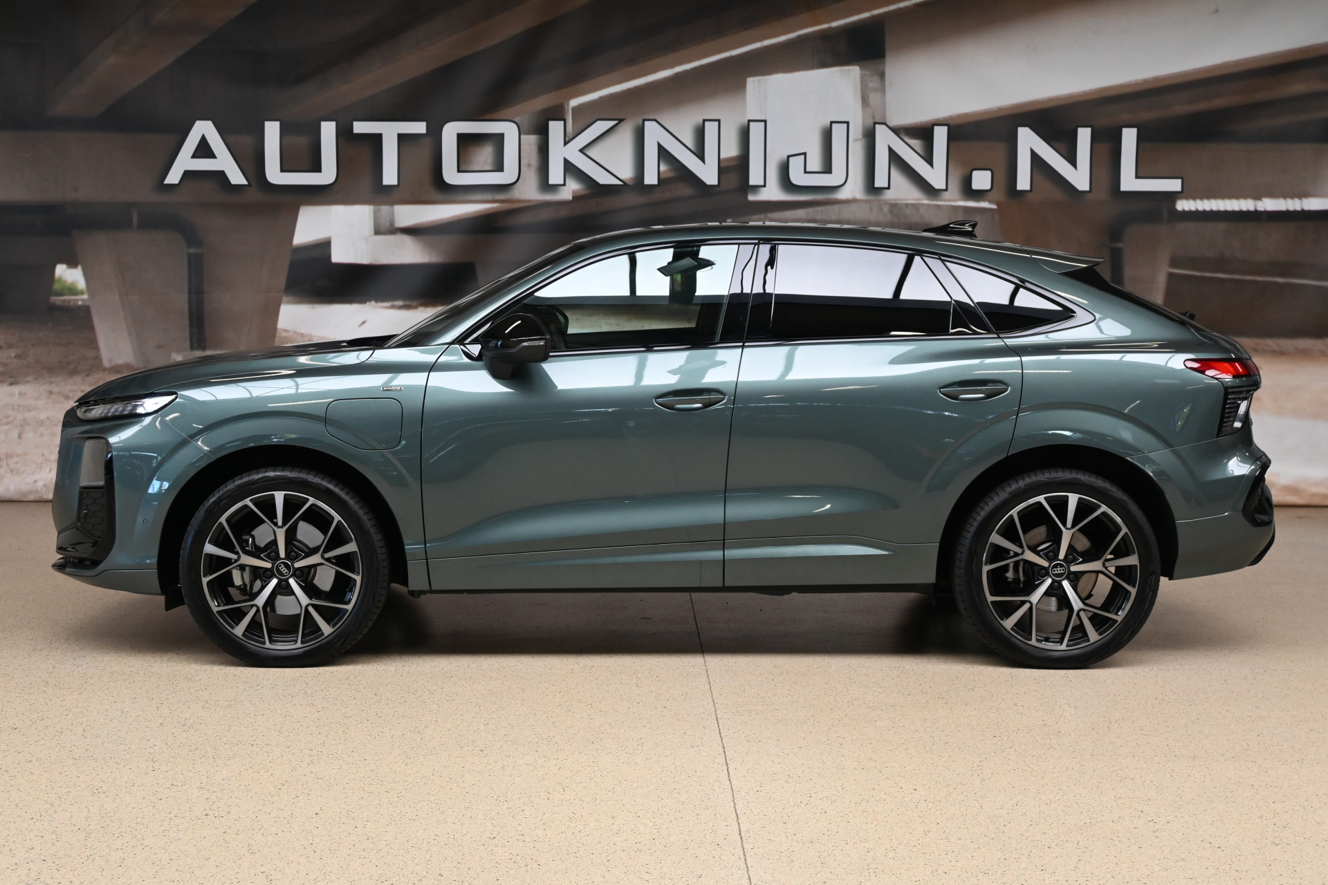 56923880-3.jpg